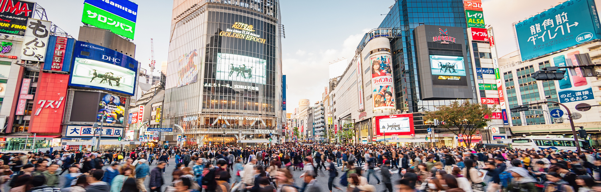 事業内容