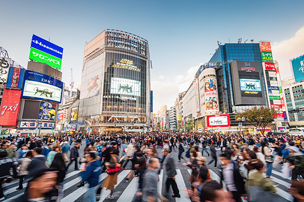 事業内容